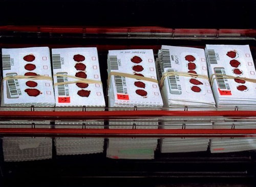 El tamiz neonatal, una idea brillante que ha cambiado miles de&nbsp;vidas