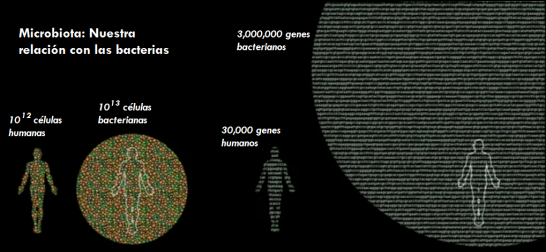 relación del ser humano con su microbiota