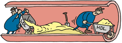 Colesterol: Si es tan necesario, ¿por qué puede hacer&nbsp;daño?