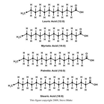 Acidos grasos de cadena larga