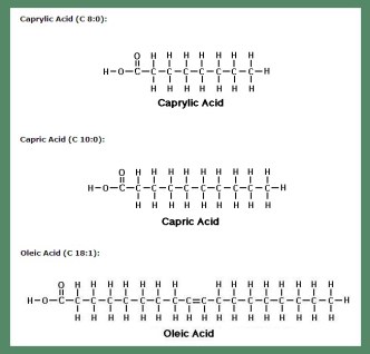Ácidos grasos de cadena media
