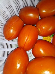 Tomates listos para pelar