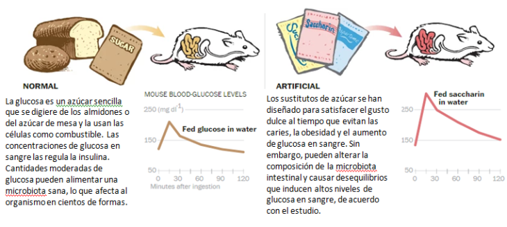 Descripción del estudio